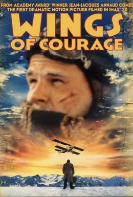 Постер фильма Крылья отваги (1995)