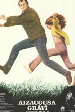 Постер фильма В заросшую канаву легко падать (1986)