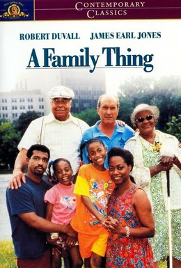Постер фильма Семейное дело (1996)