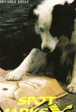 Постер фильма Собачий секрет (1986)
