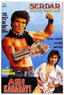 Постер фильма Крутой бунтарь (1986)