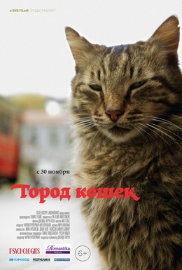 Постер фильма Город кошек (2016)