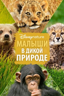 Постер фильма Малыши в дикой природе (2016)