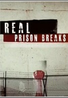 I Escaped: Real Prison Breaks (2011)