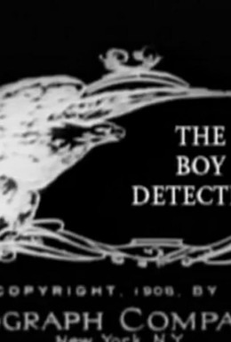 Постер фильма Мальчик-детектив (1908)