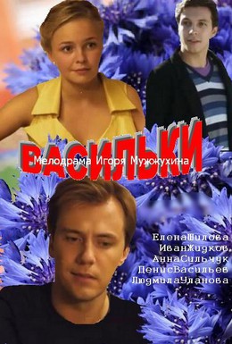 Постер фильма Васильки (2013)