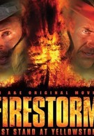 Огненный шторм (2006)