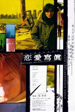 Постер фильма Коллаж нашей жизни (2003)