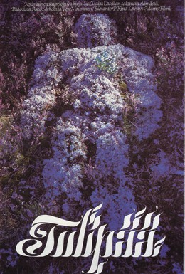 Постер фильма Огненная голова (1980)
