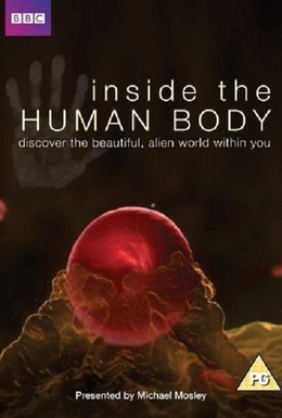 Постер фильма Внутри человеческого тела (2011)