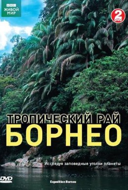 Постер фильма BBC: Тропический рай Борнео (2007)