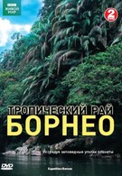 BBC: Тропический рай Борнео (2007)