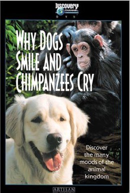 Постер фильма Почему собаки улыбаются и шимпанзе плачут (1999)