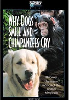 Почему собаки улыбаются и шимпанзе плачут (1999)