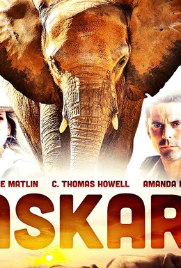 Постер фильма Аскари (2001)