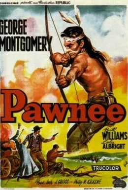 Постер фильма Пауни (1957)