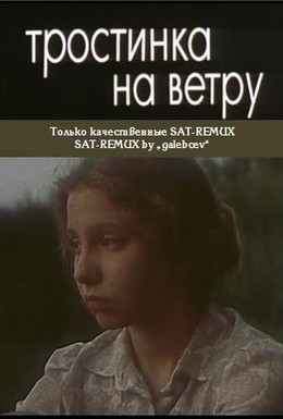 Постер фильма Тростинка на ветру (1980)