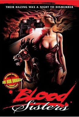 Постер фильма Кровавые сестрички (1987)