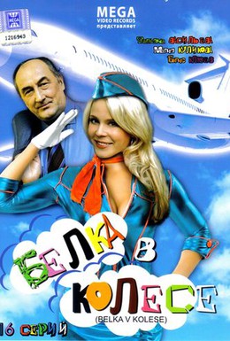 Постер фильма Белка в колесе (2007)