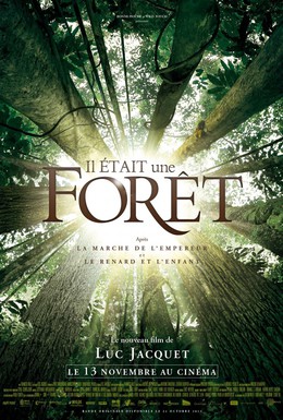 Постер фильма Однажды в лесу (2013)