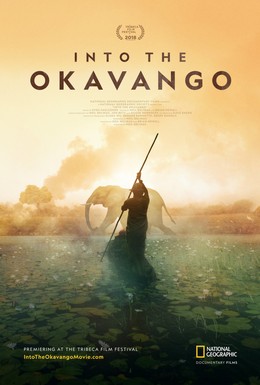Постер фильма Далеко в Окаванго (2018)