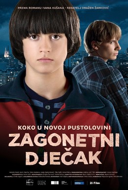 Постер фильма Таинственный мальчик (2013)