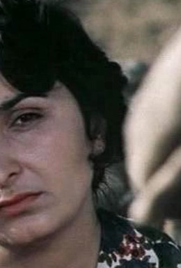 Постер фильма Каменная долина (1977)
