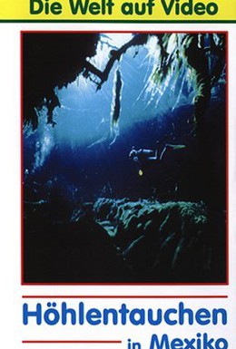 Постер фильма Аэробосс 2 (1998)