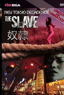 Постер фильма Новый токийский декаданс: Рабыня (2007)