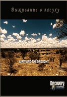 Discovery. Выживание в засуху (2008)