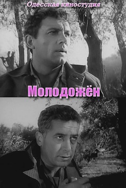 Постер фильма Молодожён (1963)