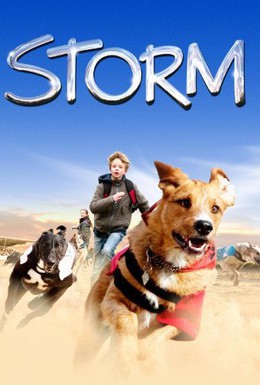 Постер фильма Шторм (2009)