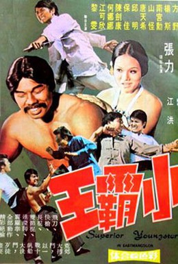 Постер фильма Парень суперкунгфуист (1973)
