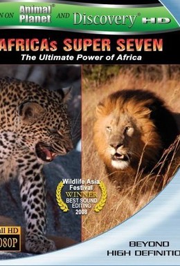 Постер фильма Великолепная семерка Африки (2005)