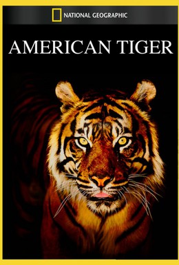 Постер фильма Американский тигр (1960)