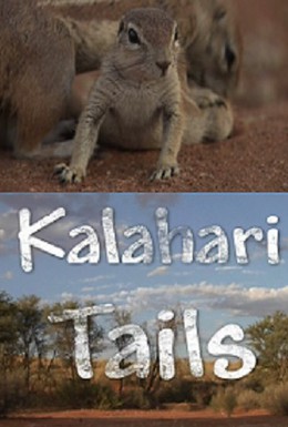 Постер фильма Хвостатые пустыни Калахари (2008)
