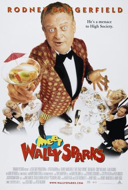 Постер фильма Познакомьтесь с Уолли Спарксом (1997)