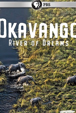 Постер фильма Окаванго: Река мечты (2019)