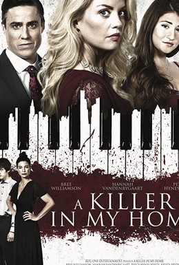 Постер фильма Убийца в доме (2020)