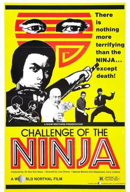 Постер фильма Шаолинь вызывает ниндзя (1978)