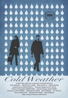 Холодная погода (2010)