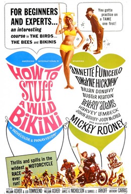 Постер фильма Как справиться с диким бикини (1965)