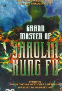 Постер фильма Великий магистр Шаолинь кун-фу (1978)