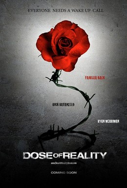 Постер фильма Доза реальности (2013)