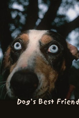 Постер фильма Лучший друг собак (1997)