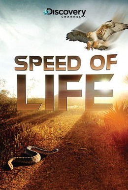 Постер фильма Скорость жизни (2010)