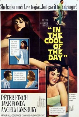 Постер фильма В прохладе дня (1963)