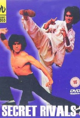Постер фильма Тайные соперники 3 (1981)