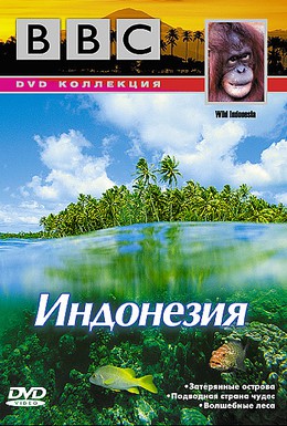 Постер фильма BBC: По странам и континентам. Индонезия (1999)