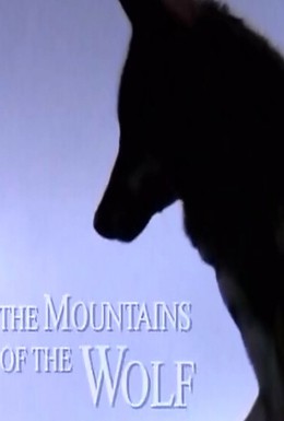 Постер фильма Волчьи горы (2003)